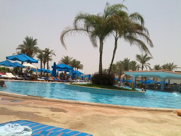 megdavies14's tweet image. The life of Egypt .... #Reeming it up