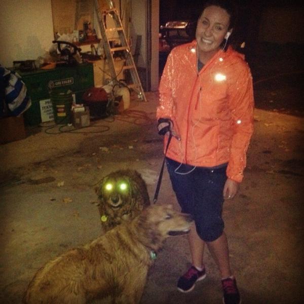 tayfelg's tweet image. Gotta love that jog in the rain with these two 💙☔🏃🐶 #soaked #bestrunningpartners