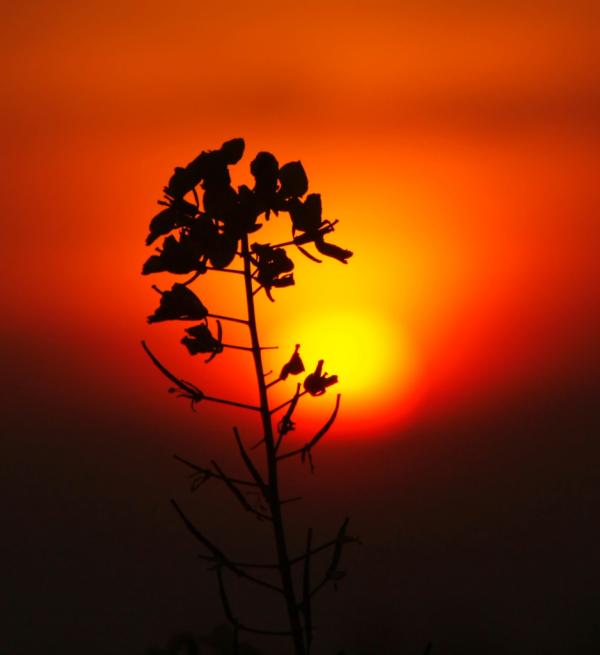 I love winter, but, really missing the summer sun. A fav pic of mine.