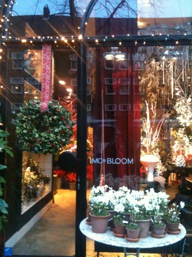 CoraKoningen's tweet photo. Kerst kan niet beginnen zonder een prachtig#MCBLOOM kerstboeket http://t.co/iNMj0MZz
