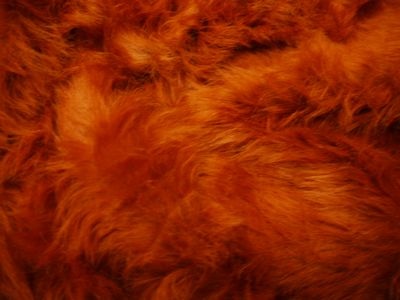 Remnanthousesew On Twitter Orangutan Long Hair Fur Fabric