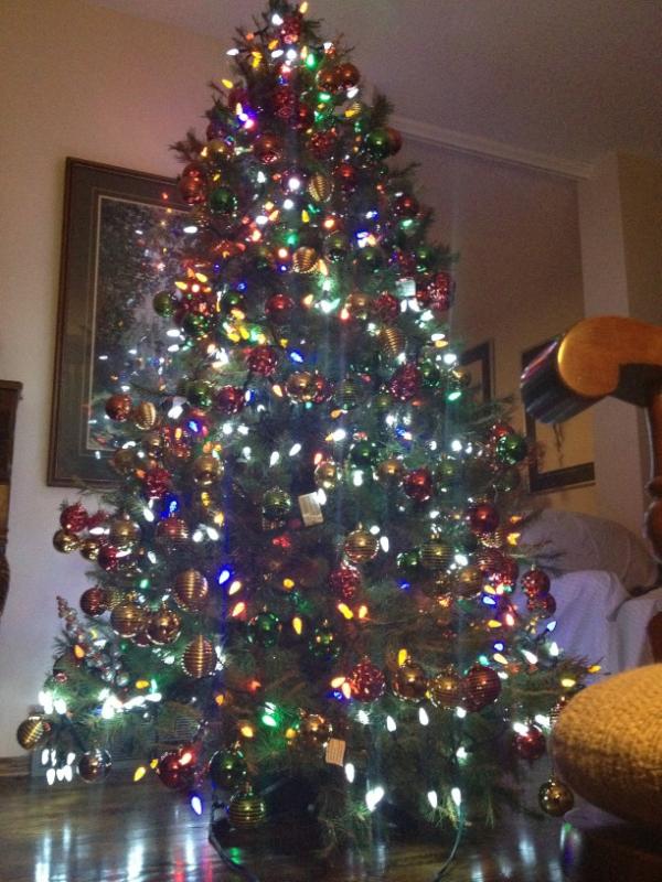 TerryDemco's tweet image. 