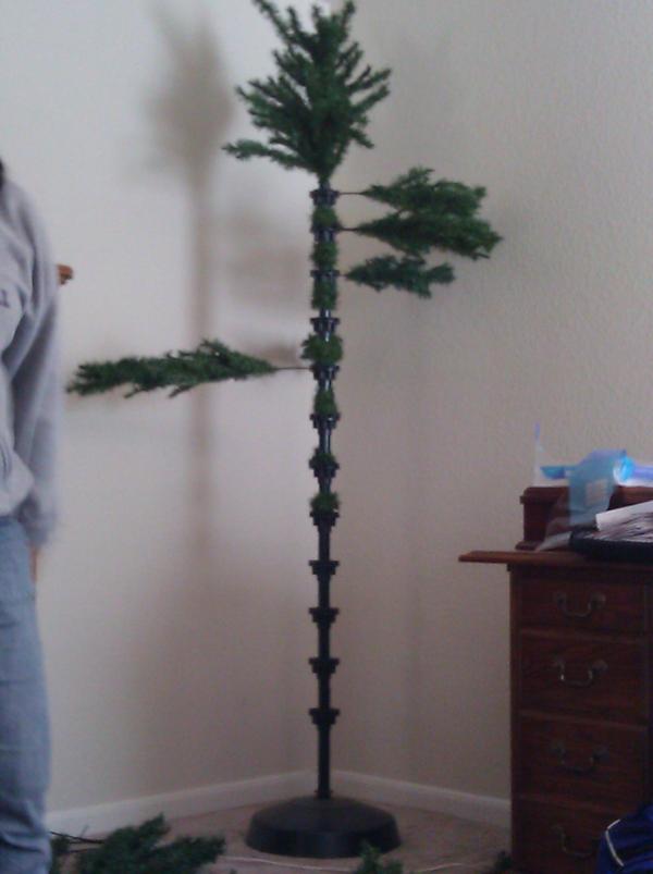 MollyMcCage's tweet photo. Our Christmas tree. Isn't it beautiful?! http://t.co/K68v72F2