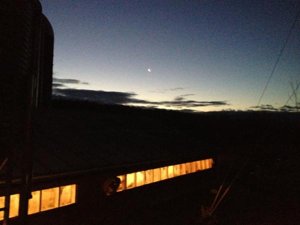 A crescent moon greeted me this Solstice morning as I got the cheese room ready for the day.