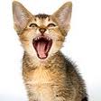 estatefiore's tweet photo. снова все прекрасно :3 http://t.co/eJQ9YxVo