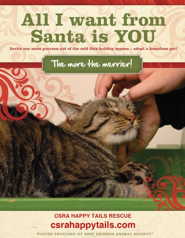 Happy Tails Rescue (@csrahappytails) on Twitter photo Please consider fostering for the holidays, even if you can't adopt! Please consider!! csrahappytails@gmail.com Please consider fostering for the holidays, even if you can't adopt! Please consider!! csrahappytails@gmail.com