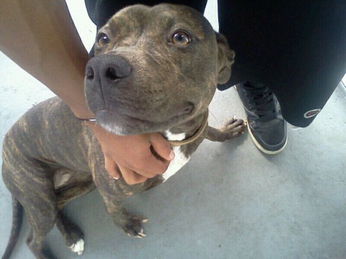 10months. N she loves me. Dats y she smile. Love my #Queen http://t.co/bilBh3p3<a href="/tag/queen"class="tags"><span>#queen</span></a>