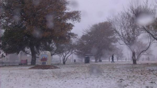 blancmendi's tweet image. #kfox