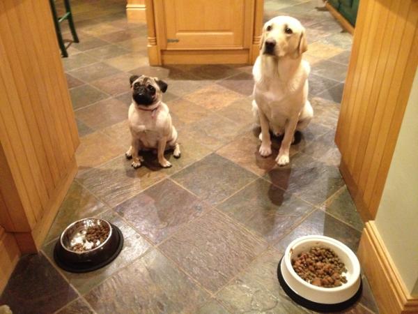 @ASOS_Luka  phenomenal. What good boys sitting nicely