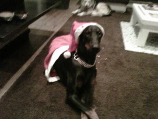 mario_casas_'s tweet photo. Bon nadal!! http://t.co/51ZeTXHY