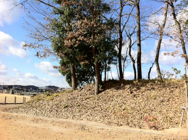 備中高松城🎵 資料館でおじさんと談話してから、最上稲荷の近くにある蛙が鼻築堤跡へ…