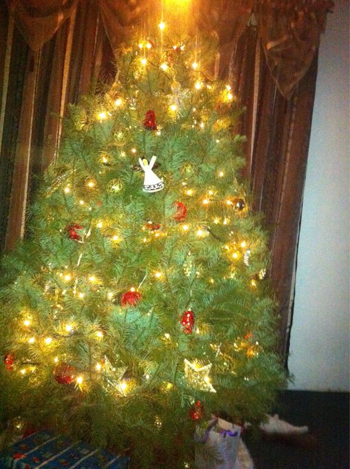 Watch anch0rman's leaked NSFW photo on TwXstars