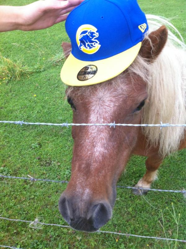 noortjedreves's tweet image. hahahah omg net gevonden in fotoalbum #projectak