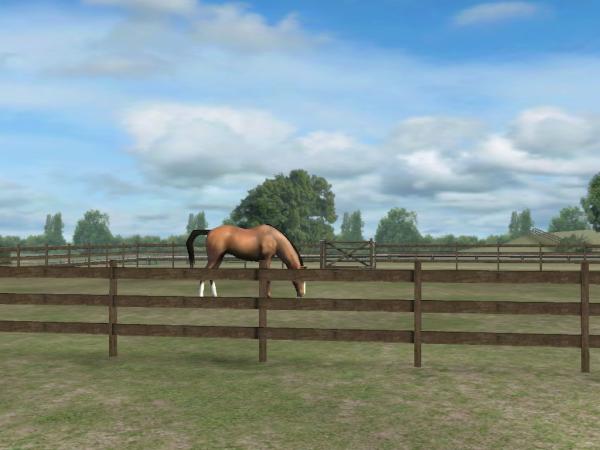 Check out Belle! Add me, cobboldhorsemad. #MyHorse nmgam.es/horse_twitter