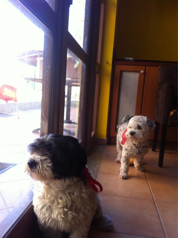 tger71's tweet image. Merry christmas