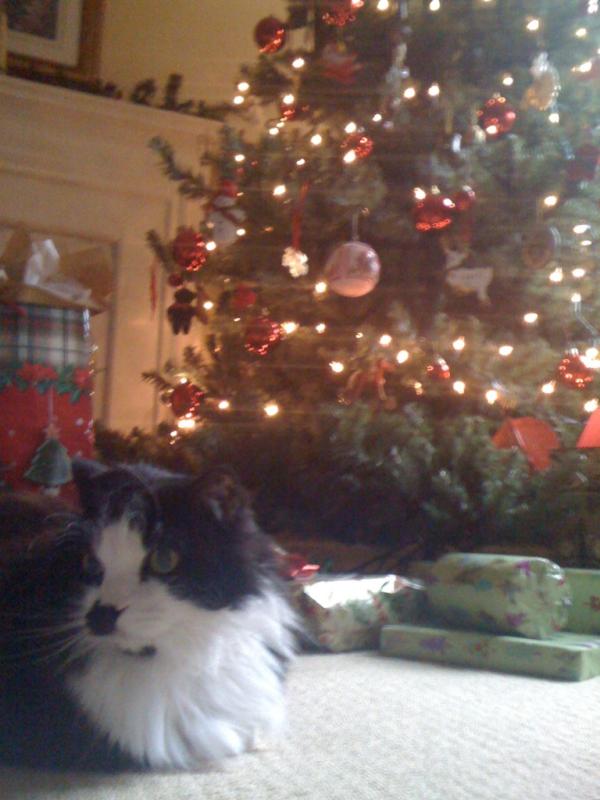 sacksc's tweet photo. Merry Christmas! #mycatkeepseatingthefakechristmastree http://t.co/K7wtwP8
