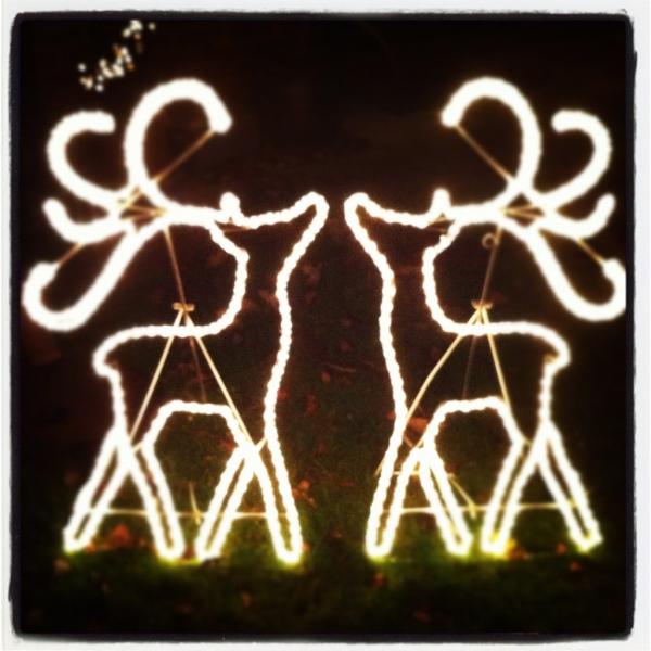 hbracher's tweet image. #essentialchristmas