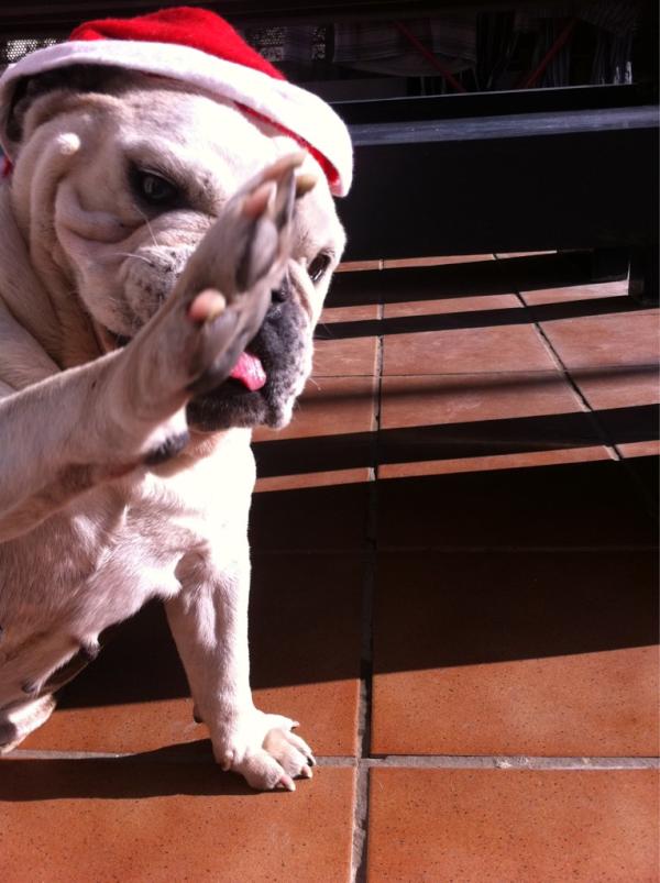 Aitor Merino (@aitor_merino) on Twitter photo 