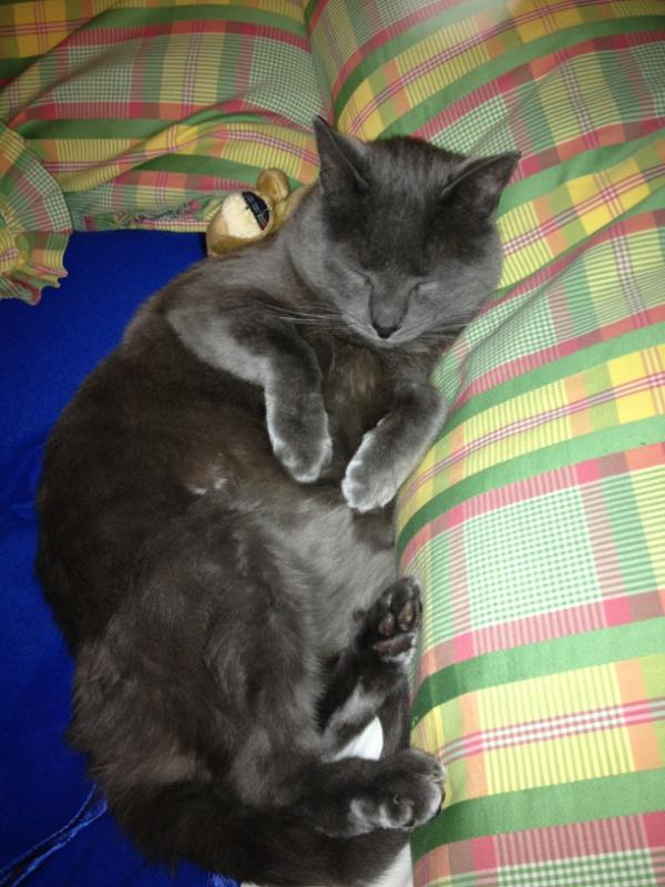 BeaFiMa's tweet image. Qué bien viven algunos