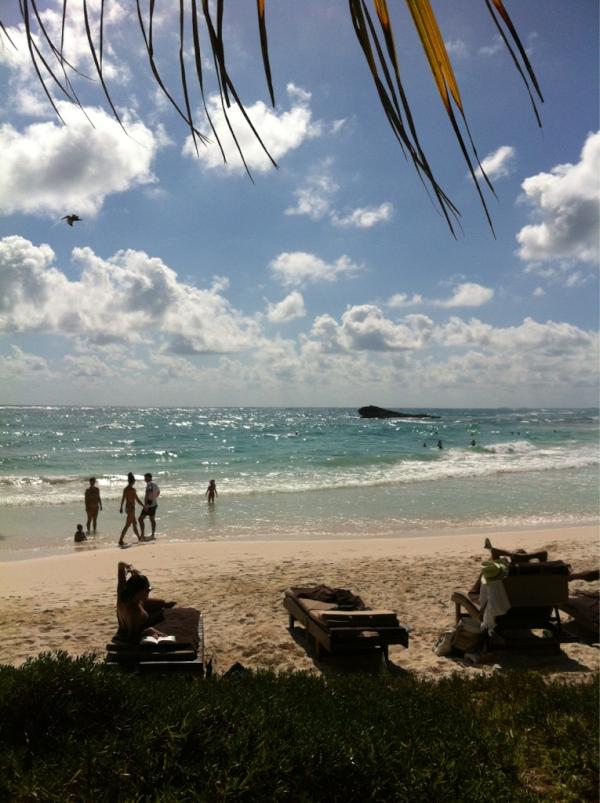 tulum's tweet image. C'mon down. Paradise found #mayatulum