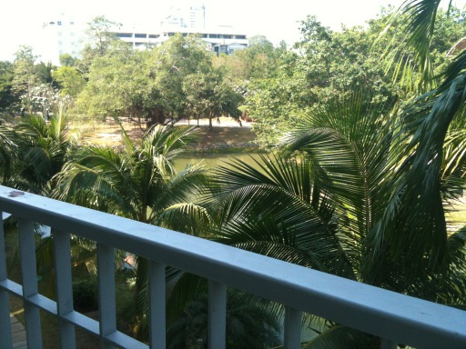 apirogov's tweet image. По утрам нас будят гуси)