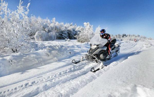 SnowJet_pl tweet picture