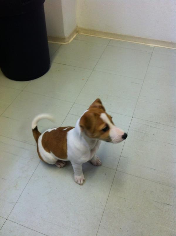 BucketListQuest's tweet photo. Our #sweet mascot #irwin cannot, but you should join our #bucketlist project so we can make it happen Bit.ly/xrPghr http://t.co/4EvUojlD