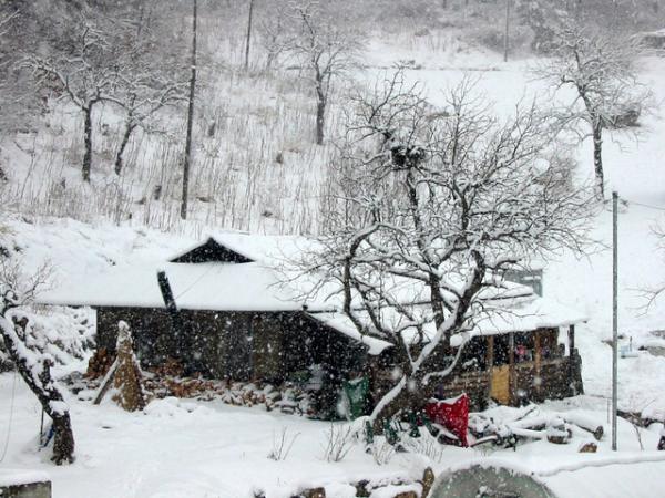 그리움이란 무엇입니다. 돌아누울 때 째진 눈가에서 흘러내리는 눈물입니다. 추억도, 추억도 그에 견줄 수 있지요.