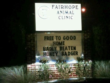 It is thoughtful forAlabama fans to show love and concern for the Honey Bear, I mean Badger. #newfoundhumilty. Trending