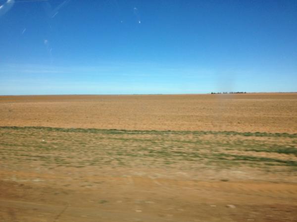 jonsonofrobert's tweet image. #westtexasprobs #nothinghere #FiestaBowlBound