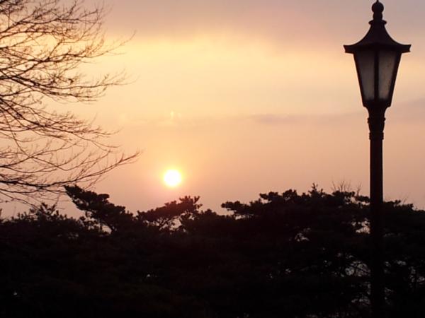 Younghoon Jeong tweet media