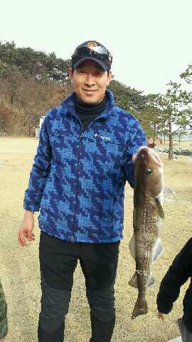 112silver's tweet photo. 2011년 12월 31일 내가 좋아라 하는 동생들과 캠핑을 갔다가 낚싯대로 잡은 대구입니다..얼마나 컸냐하면 길이가 65센티미터 가량 되었습니다.. 2011년 마지막 날에 완전히 횡재했습니다..^^ http://t.co/IyYtrz4p