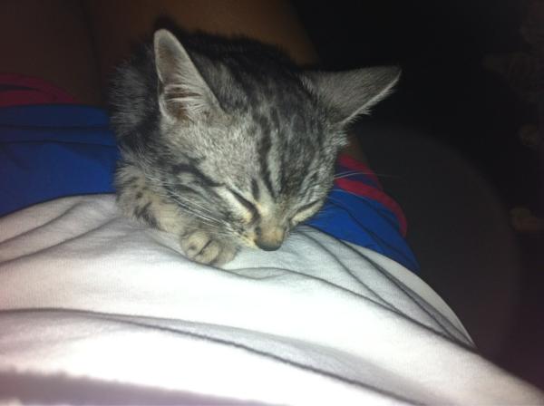 jikonomidis's tweet image. #bebeh