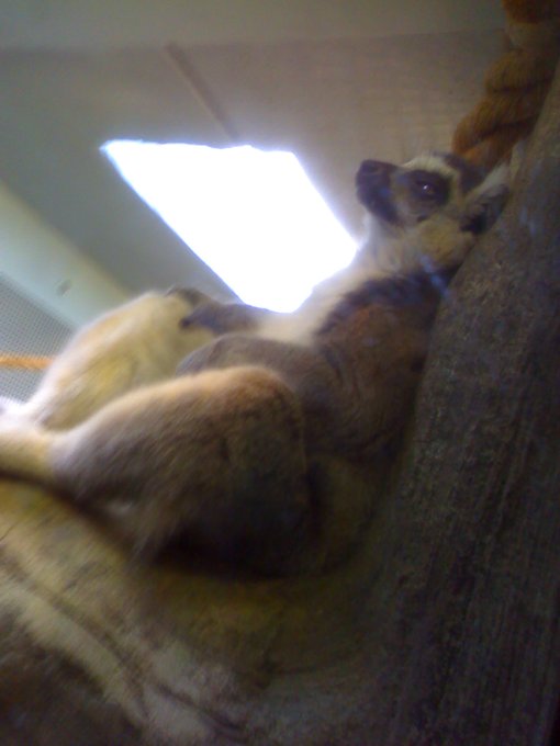 Watch EvonTeylor 💅🏾📸's leaked NSFW photo on TwXstars