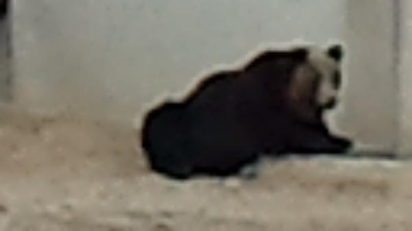 higils's tweet photo. http://t.co/ugnbDof1