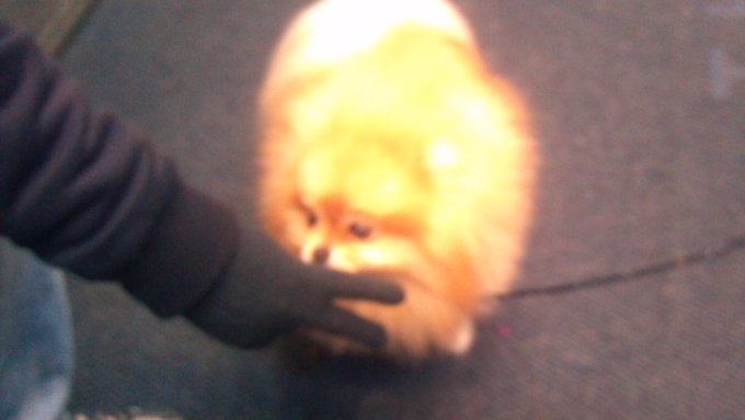 Watch Tanya Tehanna's leaked NSFW photo on TwXstars