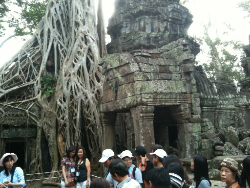 apirogov's tweet image. Так природа побеждает человека