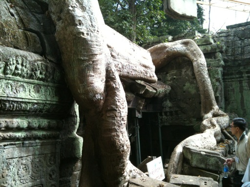 apirogov's tweet image. Nature us culture 2