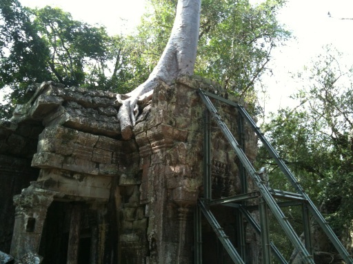 apirogov's tweet image. Nature vs culture 3