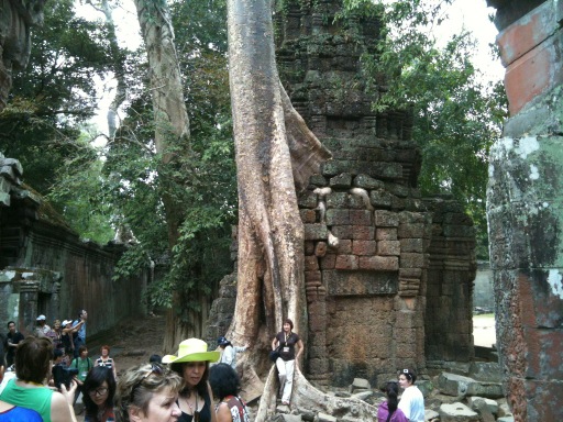 apirogov's tweet image. Nature vs culture 4