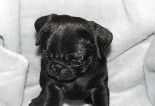 tarncham's tweet image. Awwww