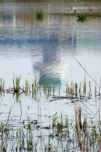 Prou Soroll tweet media