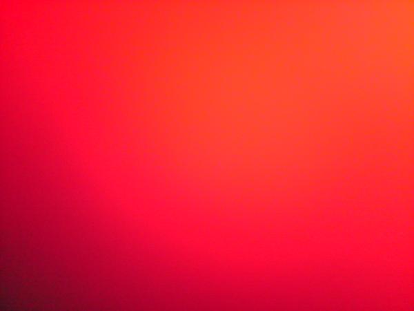 kimjungil tweet media