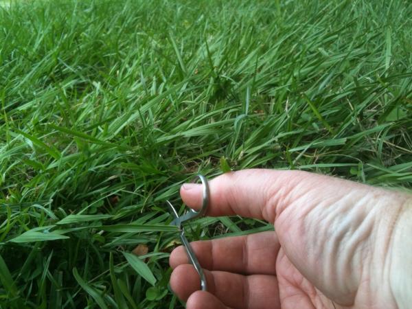 LittleBigFilmCo's tweet image. Wife wants a hand after I cut the grass... Errr sure thing!
#LearnTheHardWay