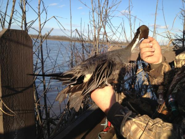 Nice work. RT <a href="/CJDucks/">Chris Jennings</a>: Things are getting a bit better. #nocomplaints