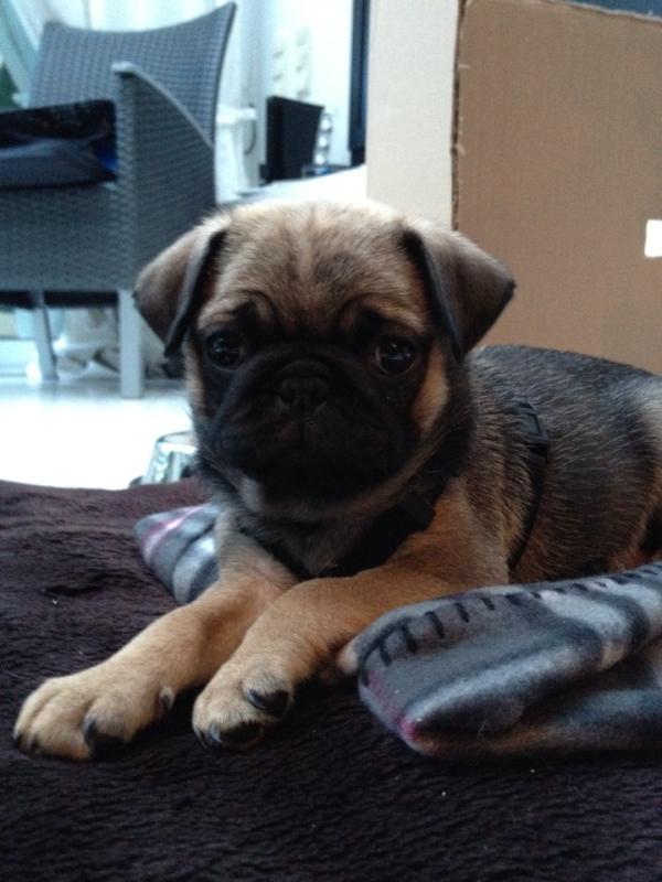 Unser Familienzuwachs seit gestern!