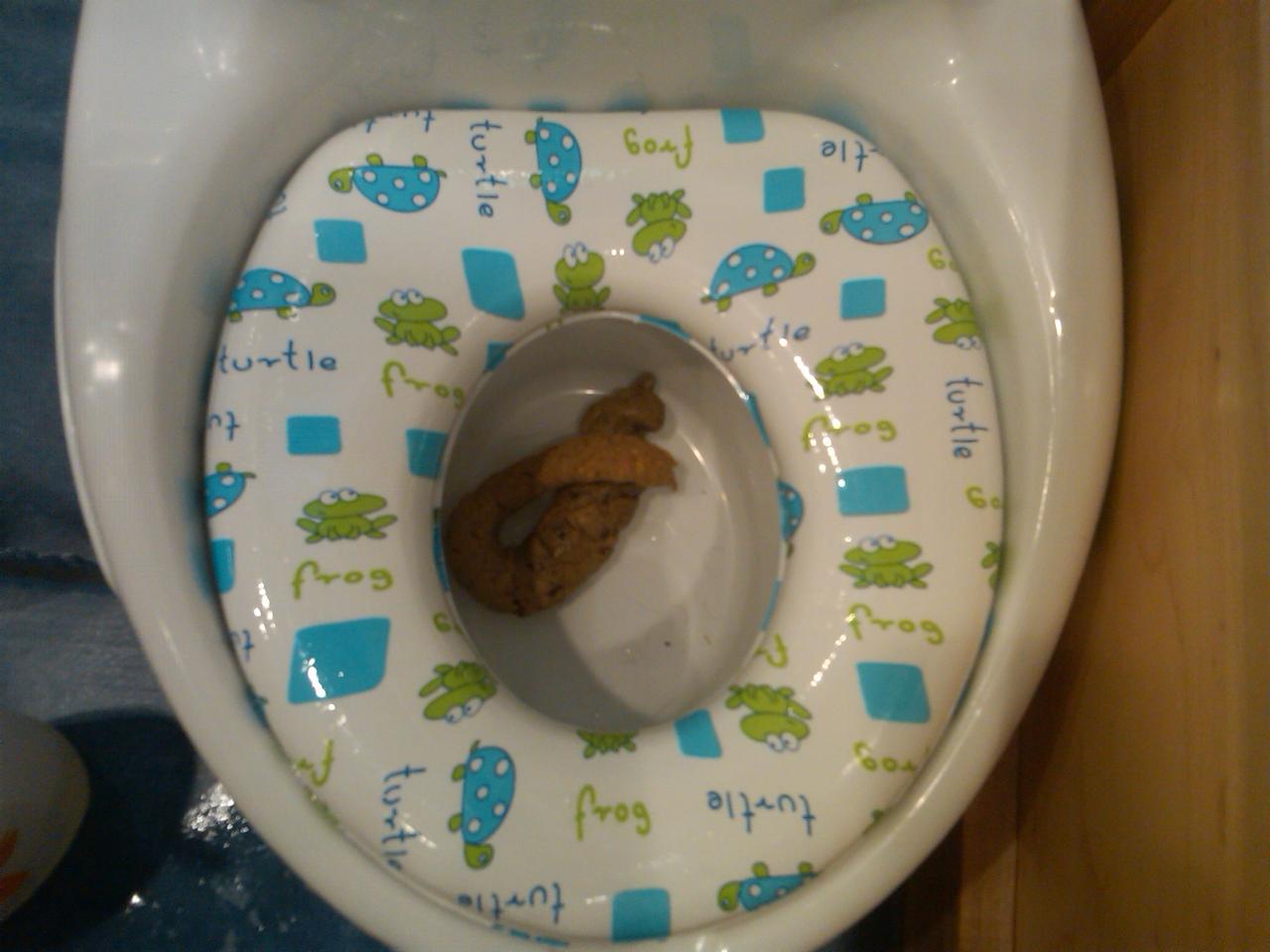 poop in potty 