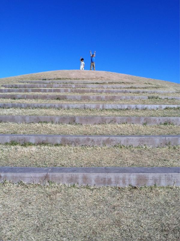 The_Seed's tweet photo. RT @MrsSaharaV: Success! They made it to the top! @The_Seed http://t.co/aMxwVPTA