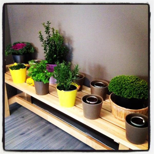 miquel_pc's tweet photo. City garden http://t.co/HahyEAyK