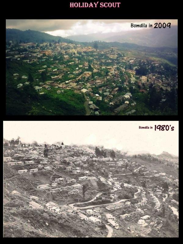 Holiday Scout tweet media